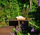Porth Tocyn Hotel - Gallery - picture 
