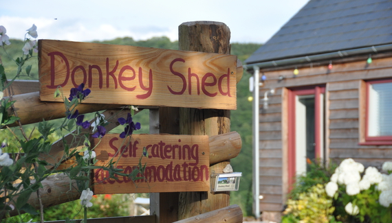 Donkey Shed - Gallery