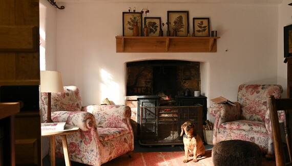 Little Allt-y-bela - Gallery