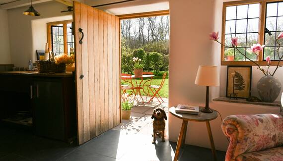 Little Allt-y-bela - Gallery