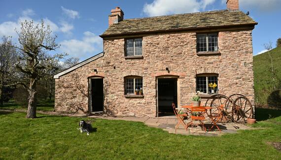 Little Allt-y-bela - Gallery