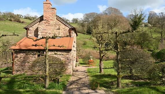 Little Allt-y-bela - Gallery