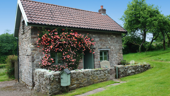 Orchard Cottage - Gallery