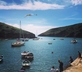 Carreg Wen - Gallery - picture 