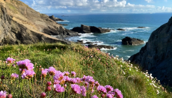 Carreg Wen - Gallery