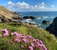 Carreg Wen - Gallery - picture 