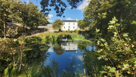 Hen Ffermdy B&B - Gallery