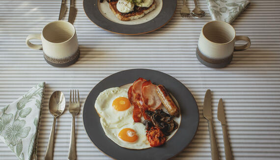 Hen Ffermdy B&B - Gallery