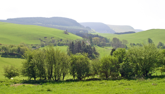 Drovers Retreat - Gallery