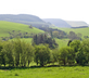 Drovers Retreat - Gallery - picture 