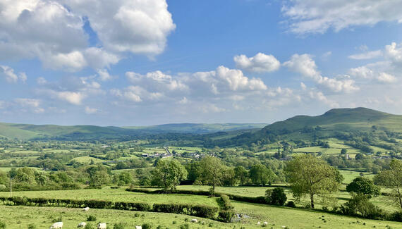 Drovers Retreat - Gallery