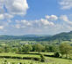 Drovers Retreat - Gallery - picture 