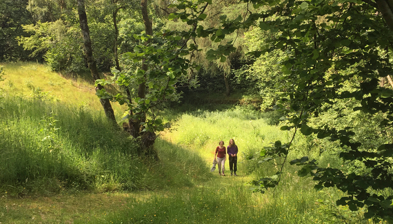 Drovers Retreat - Gallery