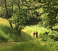 Drovers Retreat - Gallery - picture 