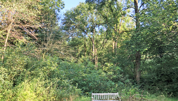 Drovers Retreat - Gallery