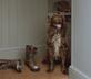 Tregoyd Estate - Pen-y-Cwm - Gallery - picture 