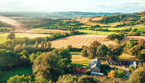 Whitehall Dairy - Gallery
