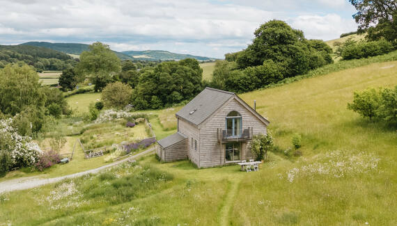 Wild Meadow - Gallery