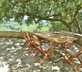Chartreuse de Montfort - Gallery - picture 