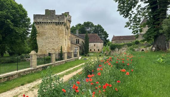 Château de Nanthiat - Gallery