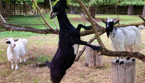 Domaine des Monges Lodge - Gallery