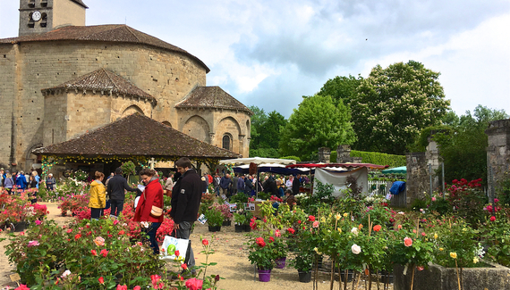 Le Tilleul - Gallery