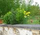 La Meynardie - Kabarole - Gallery - picture 