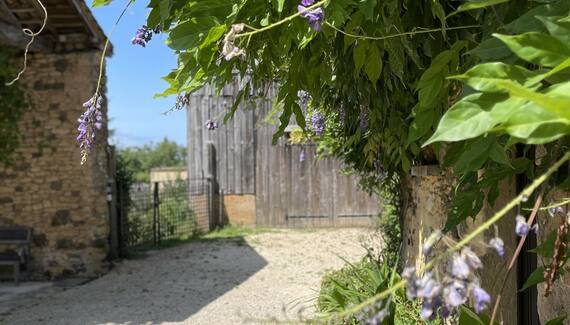La Petite Maison - Gallery