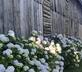 La Petite Maison - Gallery - picture 