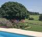 La Petite Maison - Gallery - picture 