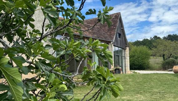 Le Figuier - Gallery