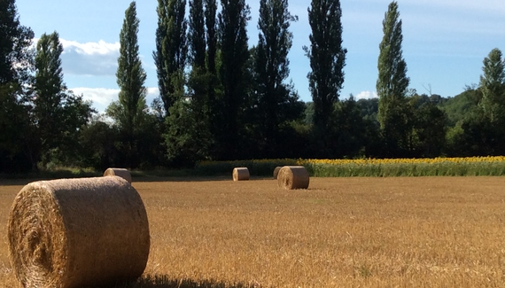 Les Tourterelles - Gallery