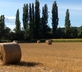 Les Tourterelles - Gallery - picture 