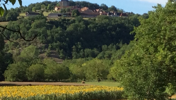 Les Tourterelles - Gallery