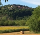 Les Tourterelles - Gallery - picture 