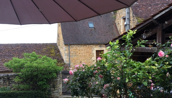 Les Tourterelles - Gallery