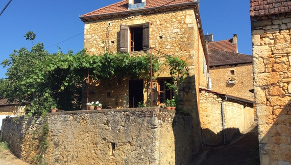 Les Tourterelles - Gallery