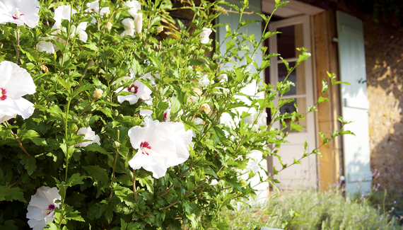 Maisons la Boissiere - Gallery