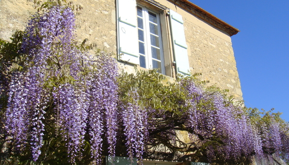 Maisons la Boissiere - Gallery