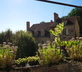Rediat Cor - Gallery - picture 