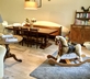 Rigal - Gallery - picture 