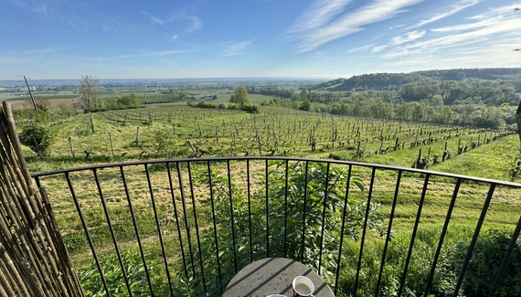 The Wine Cottage - Gallery