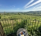 The Wine Cottage - Gallery - picture 