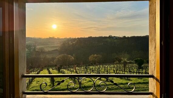 The Wine Lodge - Gallery