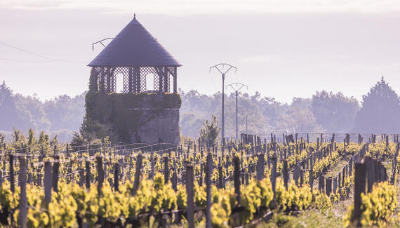 Château Sénéjac - Gallery