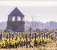 Château Sénéjac - Gallery - picture 