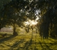Le Pigeonnier - Gallery - picture 
