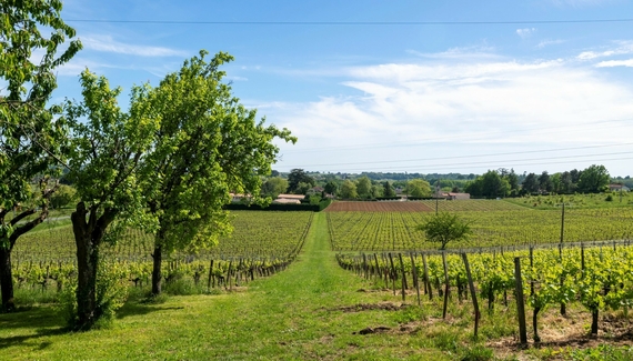 Maison Groleau - Gallery