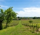 Maison Groleau - Gallery - picture 