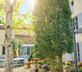 Tavereau - Gallery - picture 